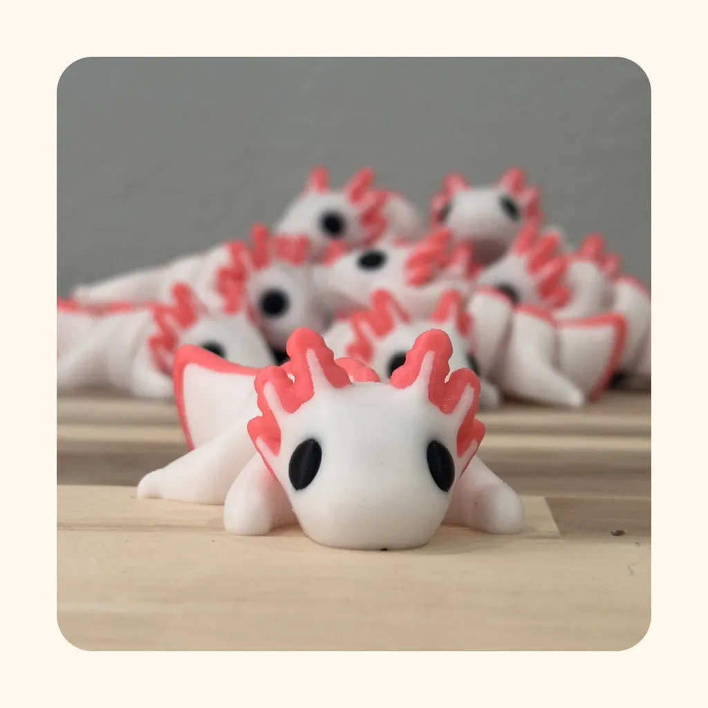 Axolotl — photo 3