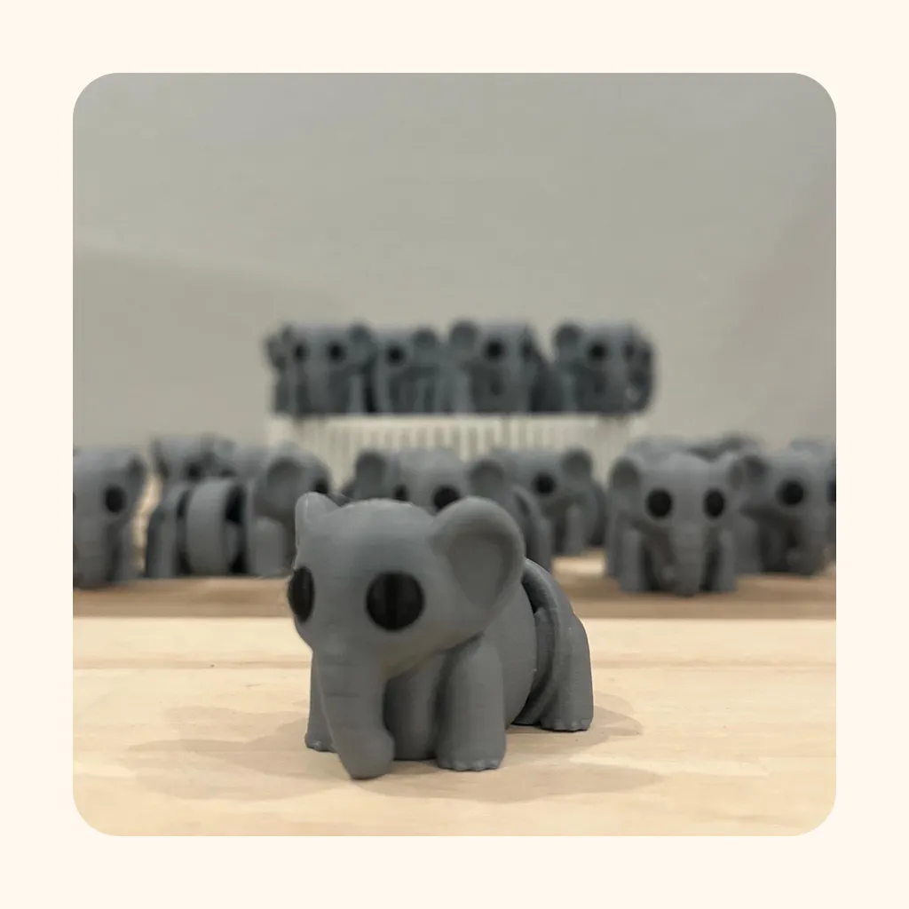 Baby Elephant — photo 6