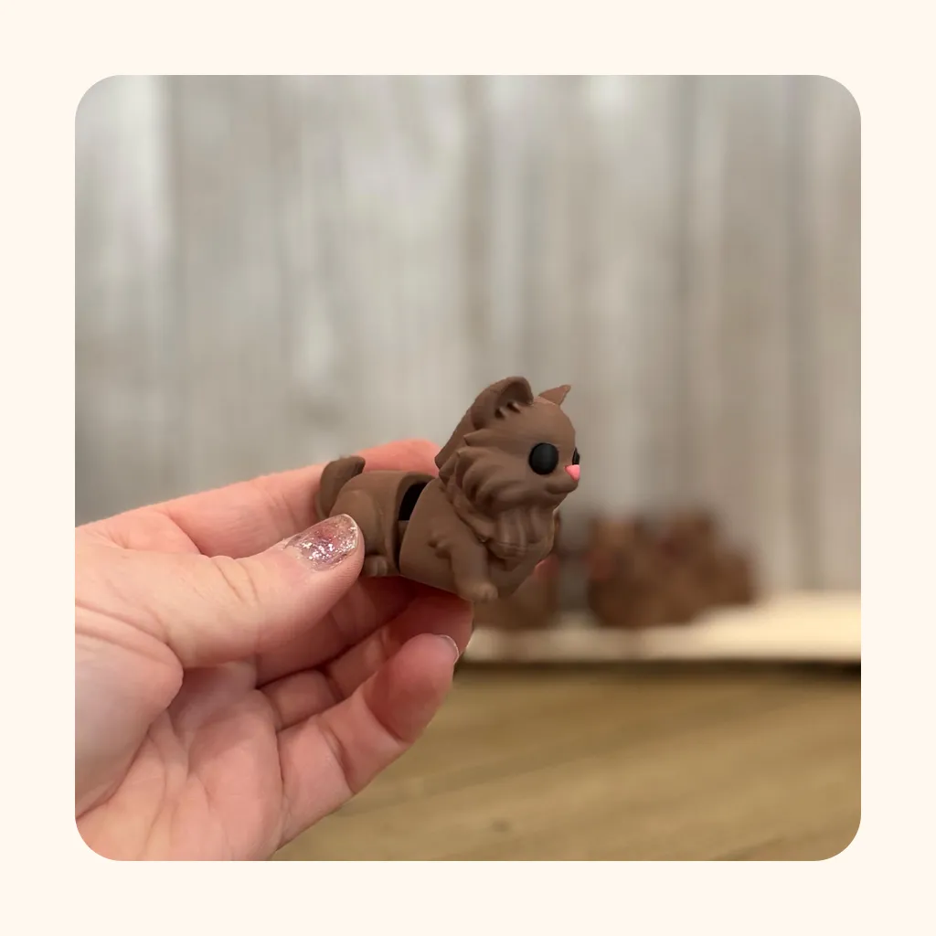 Fluffy Brown Cat — photo 4