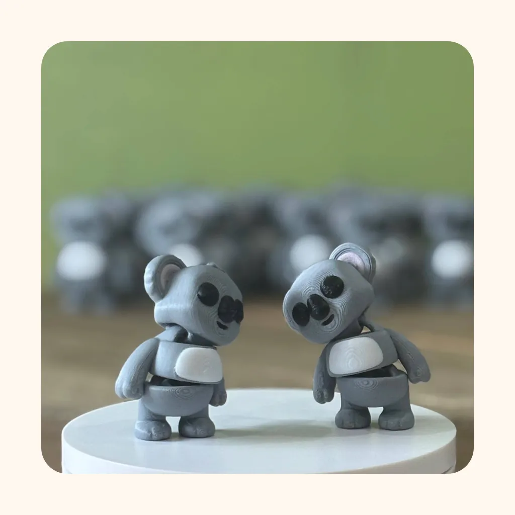 Koala — photo 7