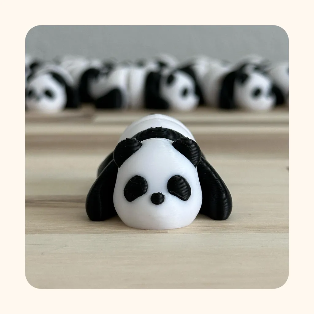 Panda — photo 5